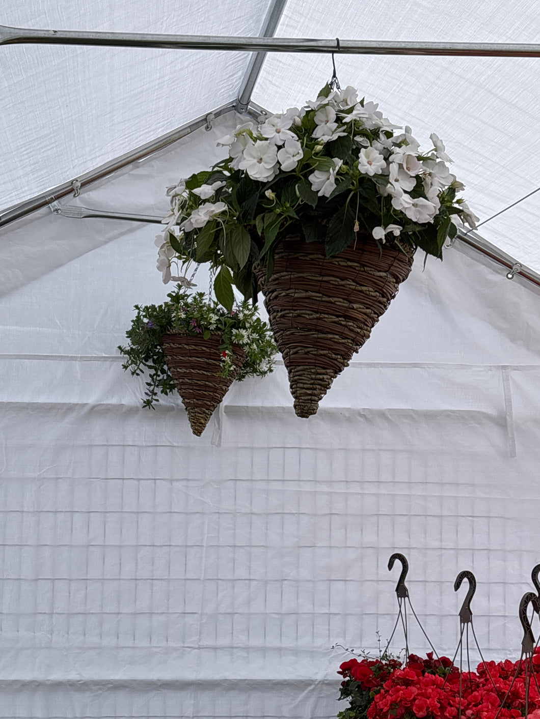 Fibre cone hanging basket