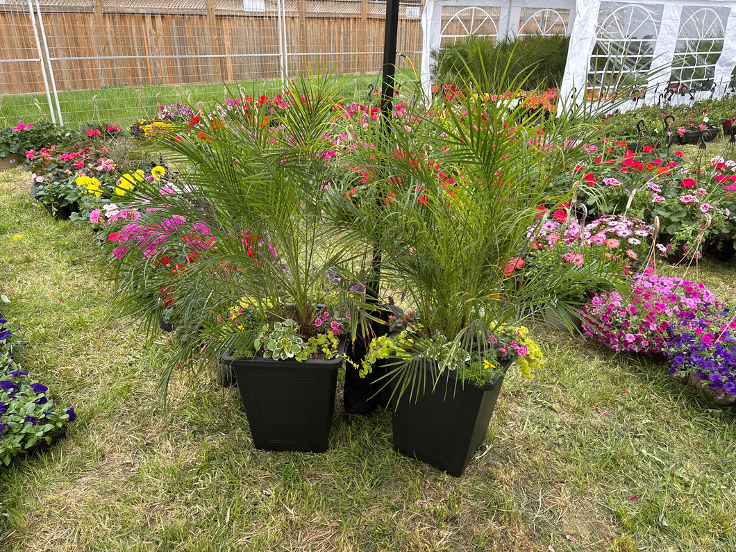 Customer planter square