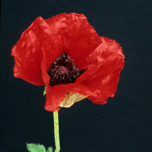 Load image into Gallery viewer, Oriental Poppy (Papaver orientalis &#39;Beauty of Livermere&#39;) 1 gallon
