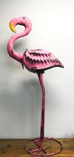 Large Splashed Flamingo