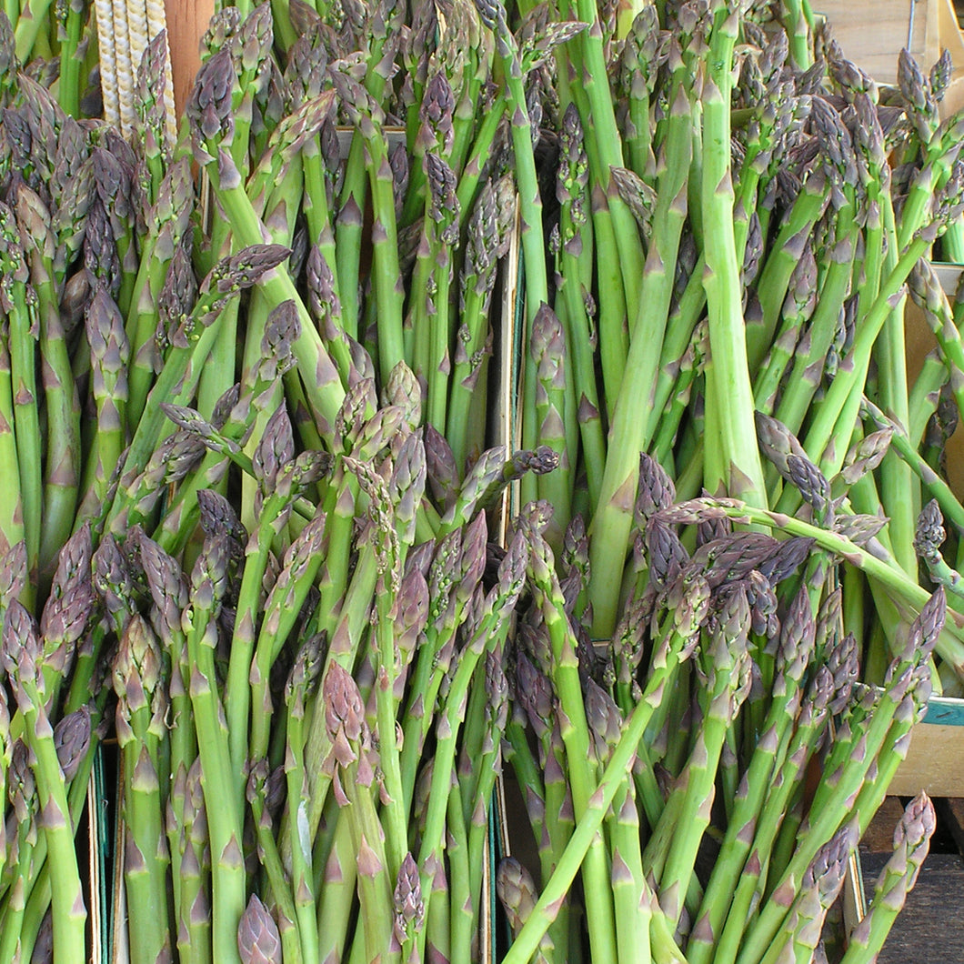 Asparagus